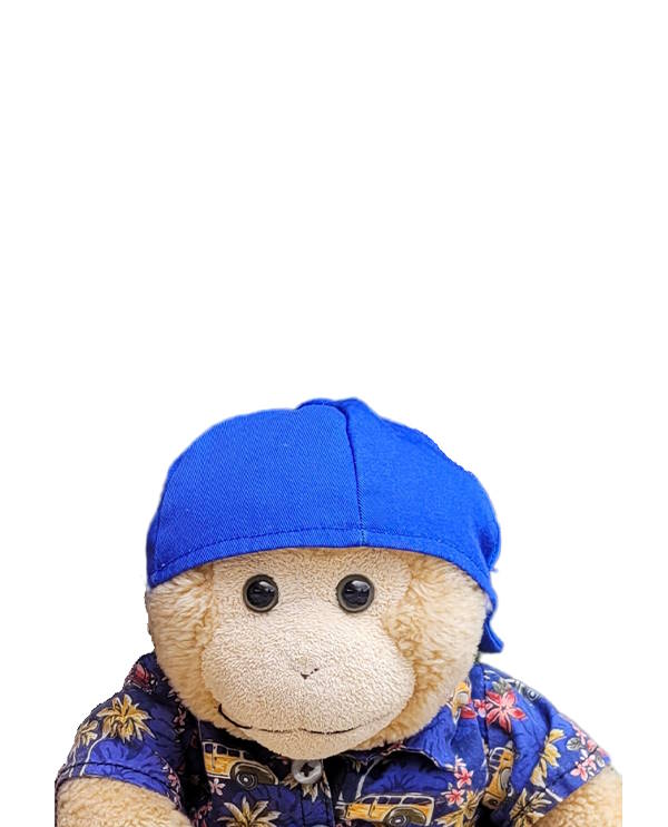 Portrait de Chichi, mascotte et vice-président du plaisir à La Classe de ClaudiA+, source de rires et de complicité