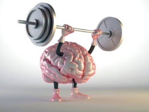 Dessin d'un cerveau levant des haltères